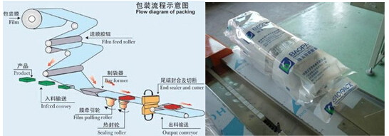 枕式包裝機(jī)示意圖